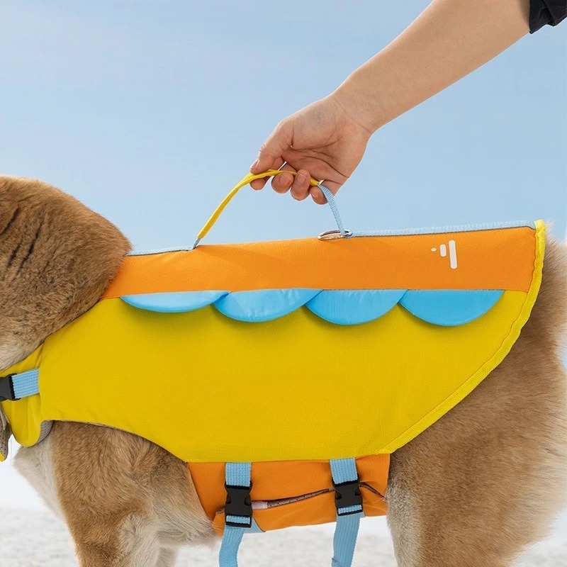 Niedliche Bienenförmige Hunde- – Life Jacket Buoyancy Bewertung und Preis